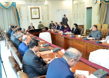 PM Directs Petroleum Ministry to Address Fuel Supply Challenges