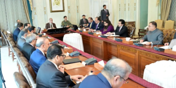 PM Directs Petroleum Ministry to Address Fuel Supply Challenges