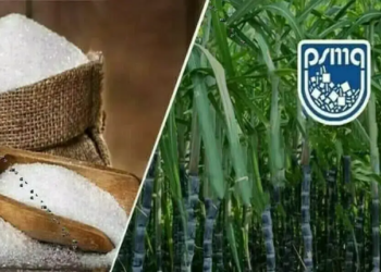 PSMA urges sugar exports, calls for deregulation amid surplus production